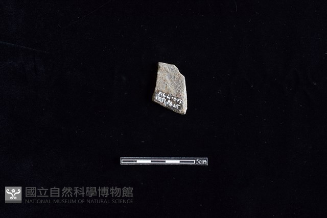 陶片藏品圖，第2張