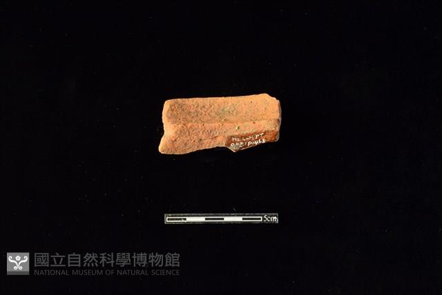 陶罐藏品圖，第2張