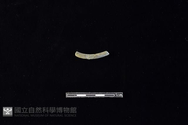 陶環藏品圖，第2張