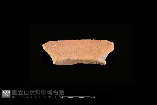 陶罐藏品圖，第2張