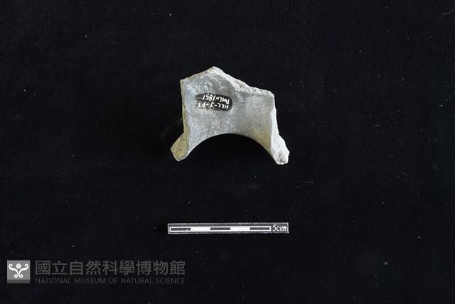 Accession Number:HLL-J PT1851 Collection Image, Figure 2, Total 2 Figures