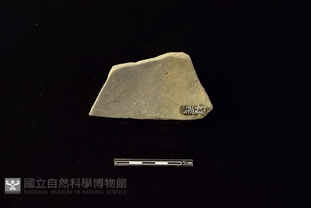 陶片藏品圖，第2張