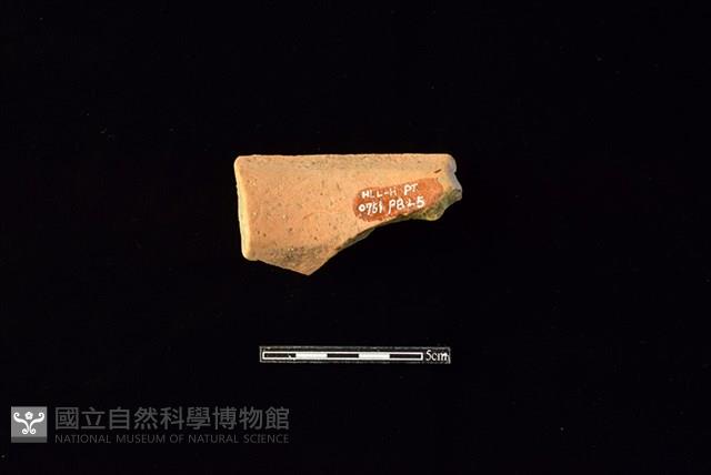 陶罐藏品圖，第2張