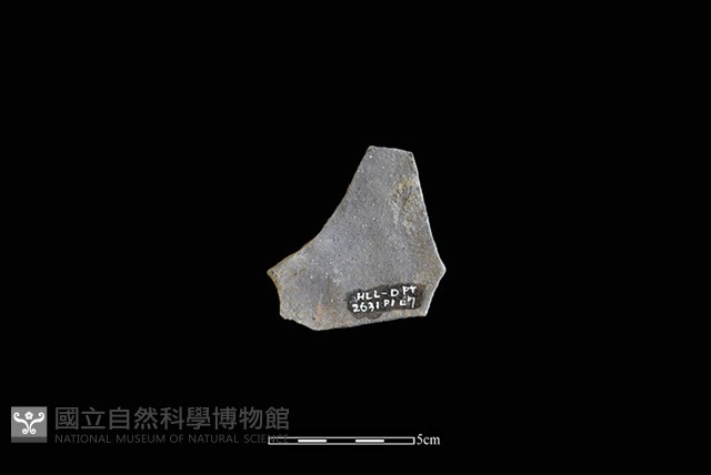 陶片藏品圖，第2張