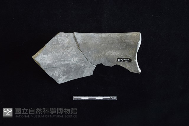 陶罐藏品圖，第2張