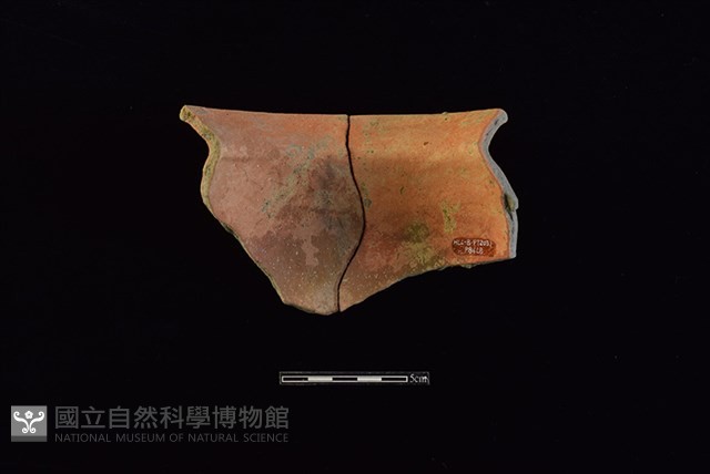 陶罐藏品圖，第2張