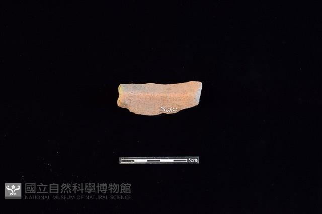 陶片藏品圖，第2張