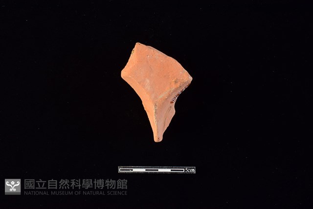 連杯形器藏品圖，第2張