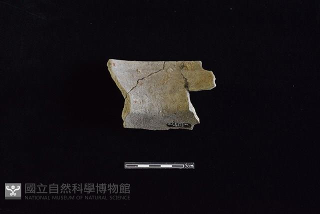 陶罐藏品圖，第2張