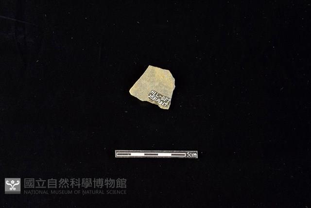 陶片藏品圖，第2張