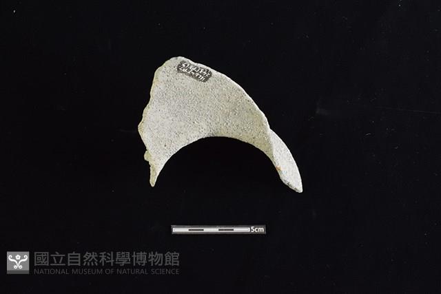 陶罐藏品圖，第2張