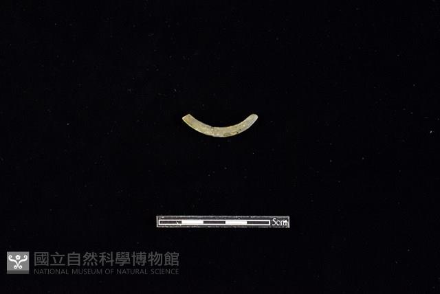 陶環藏品圖，第2張