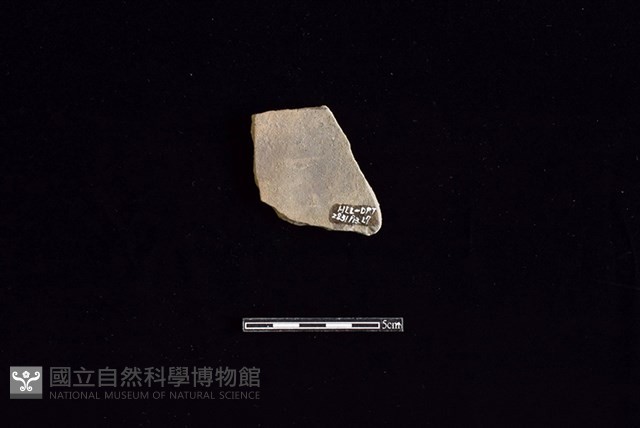 陶片藏品圖，第2張