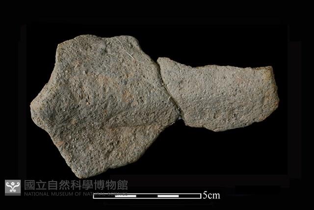 陶缽藏品圖，第2張