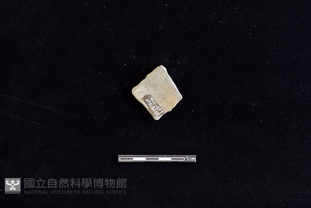陶片藏品圖，第2張