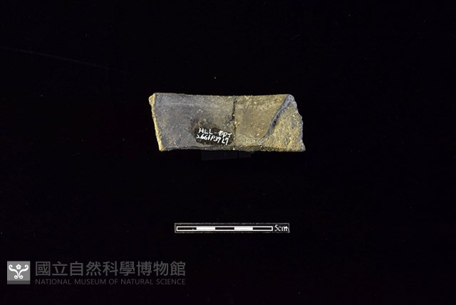 陶罐藏品圖，第2張
