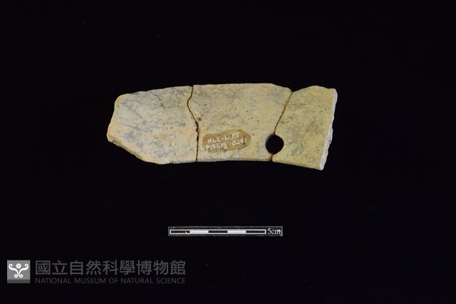 陶片藏品圖，第2張