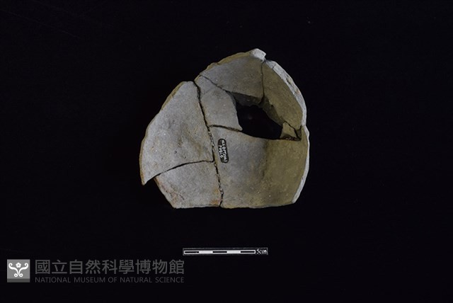 陶片藏品圖，第2張