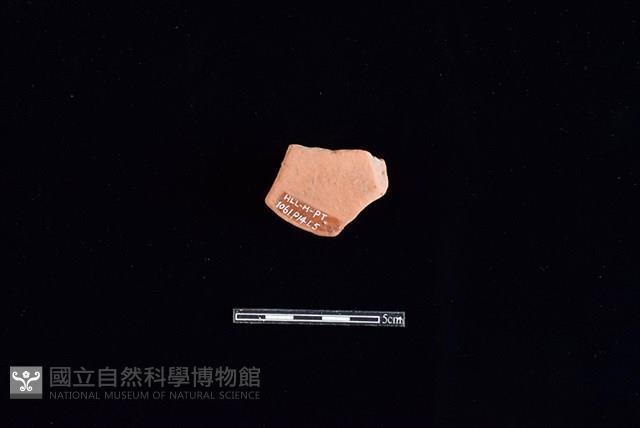 陶片藏品圖，第2張