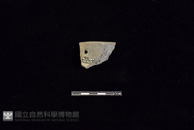 陶片藏品圖，第2張