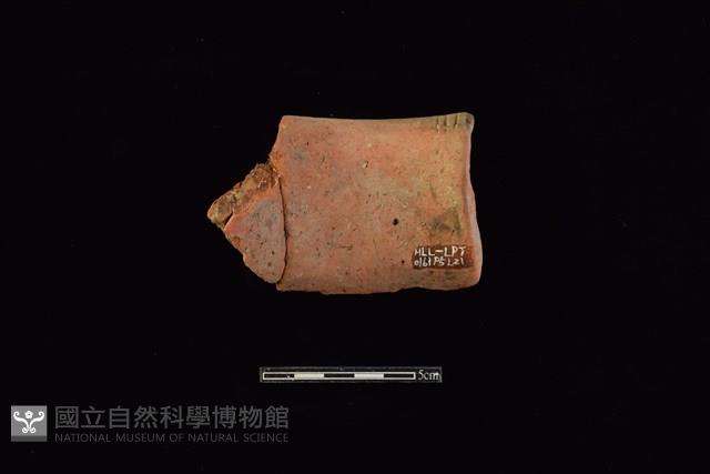 陶罐藏品圖，第2張