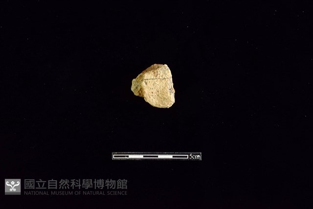 陶罐藏品圖，第2張