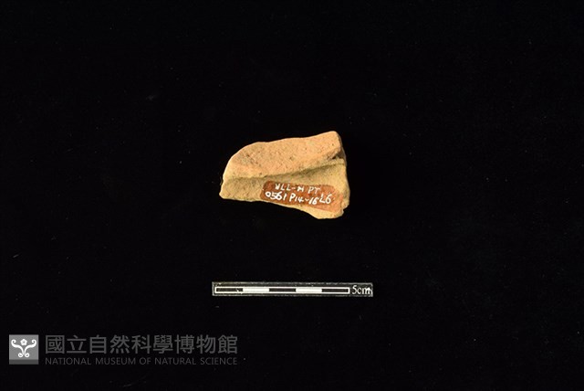 陶片藏品圖，第2張