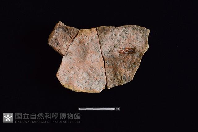 陶片藏品圖，第2張