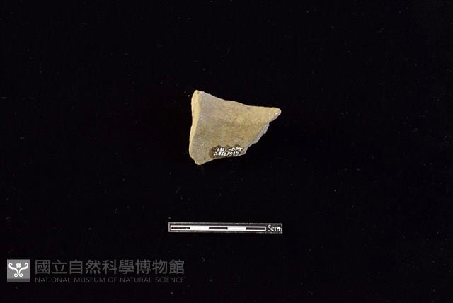 陶罐藏品圖，第2張