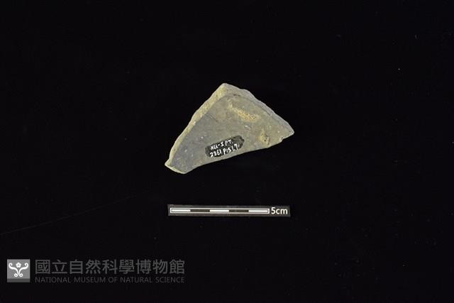 陶片藏品圖，第2張