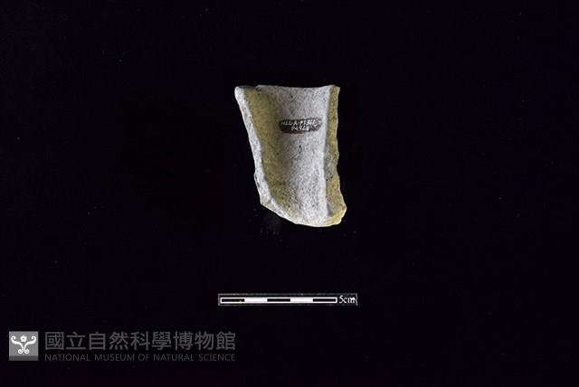 Accession Number:HLL-A PT0361 Collection Image, Figure 2, Total 2 Figures