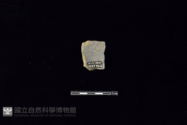 陶片藏品圖，第2張