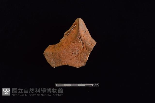 連杯形器藏品圖，第2張