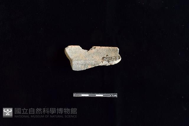 陶罐藏品圖，第1張