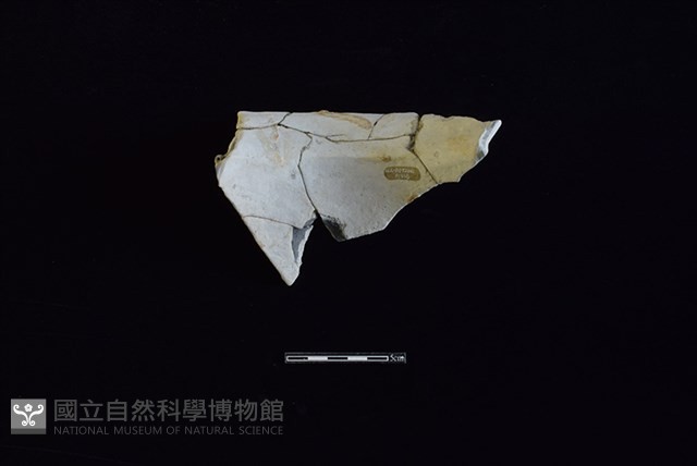 陶罐藏品圖，第2張