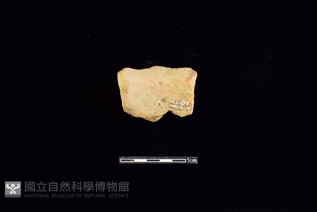 陶片藏品圖，第2張