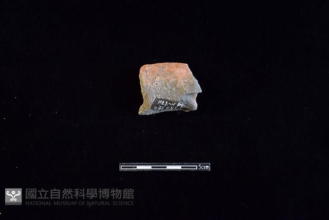 陶罐藏品圖，第2張