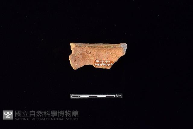 陶片藏品圖，第2張