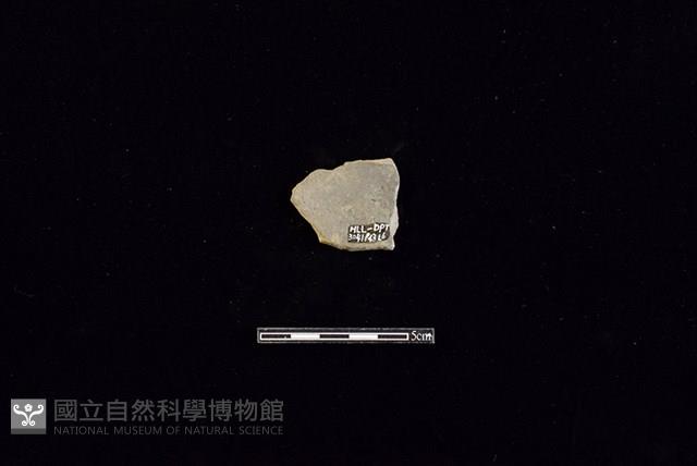 陶片藏品圖，第2張