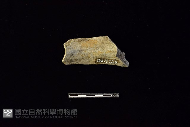 陶罐藏品圖，第2張