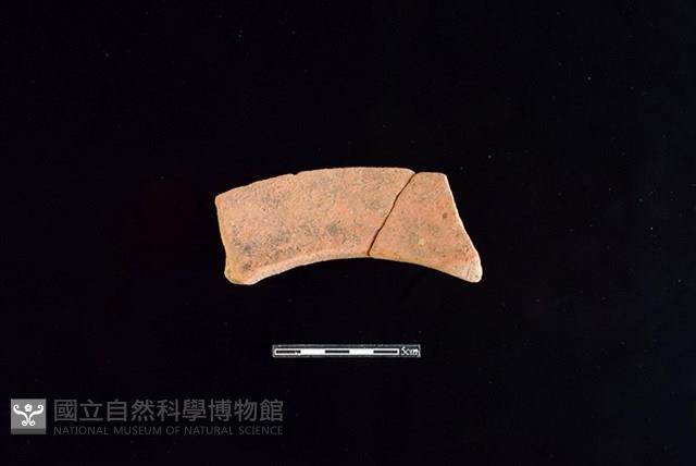 陶罐藏品圖，第2張