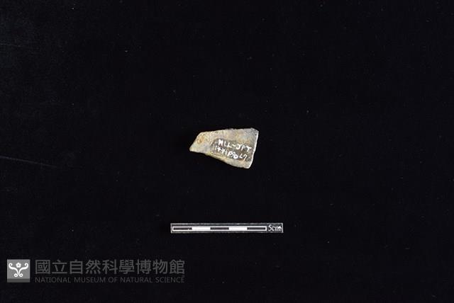 陶片藏品圖，第2張