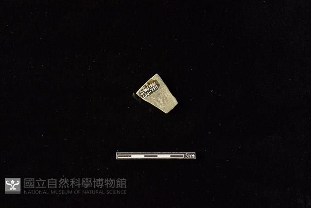 陶片藏品圖，第2張