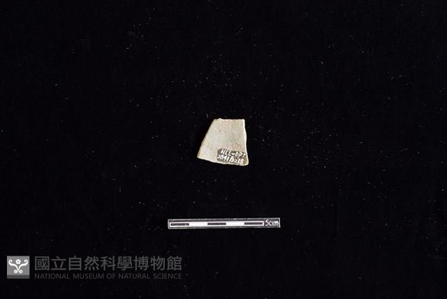 陶片藏品圖，第2張