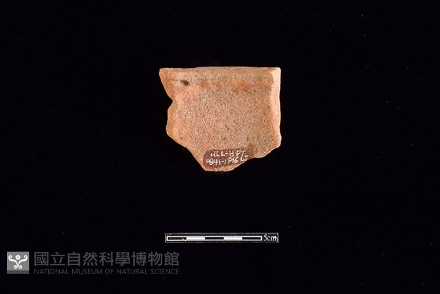 陶片藏品圖，第2張