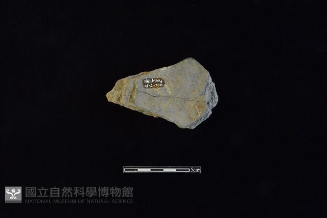 陶片藏品圖，第2張