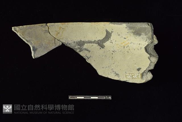 陶罐藏品圖，第1張