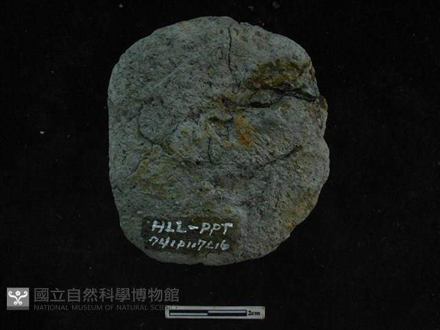 陶鈕藏品圖，第2張