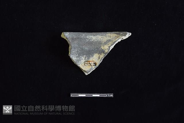 陶罐藏品圖，第2張