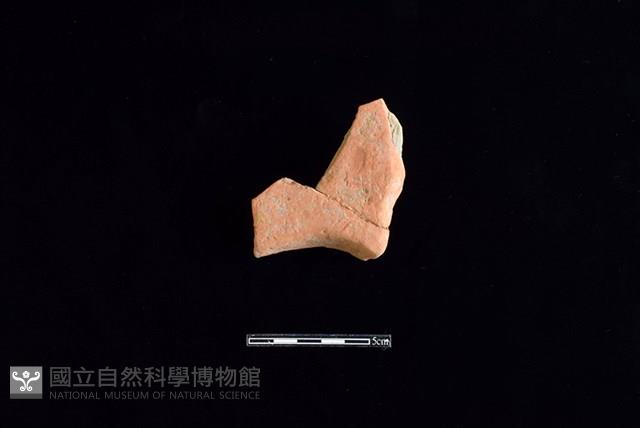 連杯形器藏品圖，第2張